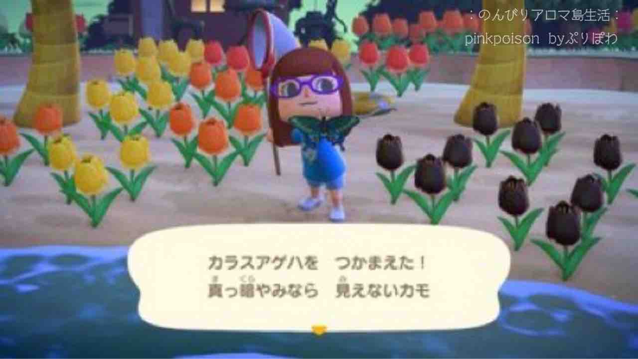 森 チューリップ あつ