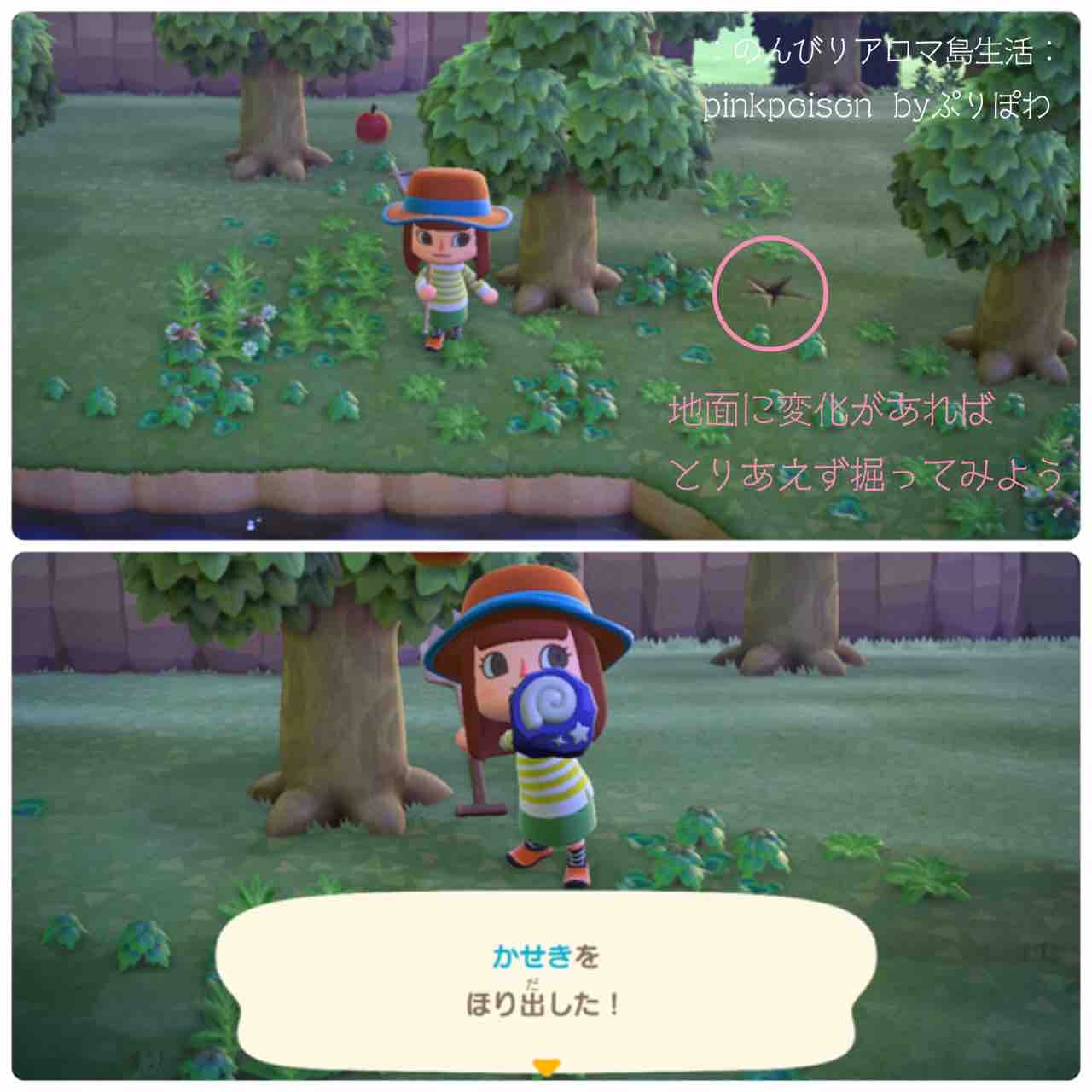 あつ森 魚と虫と化石を集めるのです のんびりアロマ島生活 タイムトラベラー編 あつ森 魚と虫と化石を集めるのです のんびりアロマ島生活 タイムトラベラー編