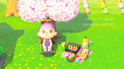 あつ森 お花見セットとリカルドがきたよ のんびりアロマ島生活 タイムトラベラー編