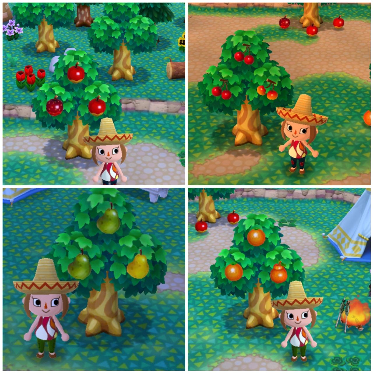 18年04月 のんびりアロマ島生活 タイムトラベラー編