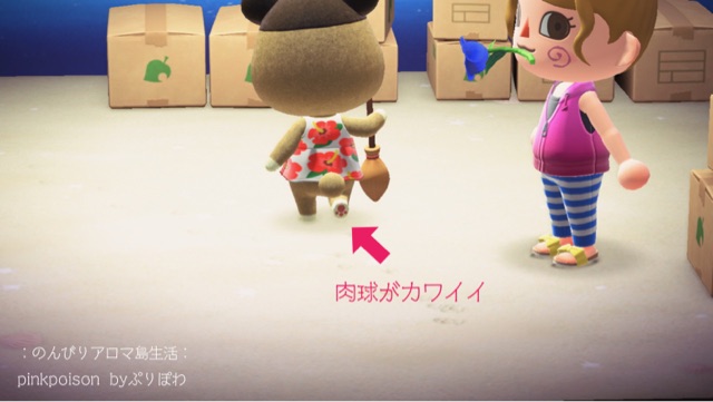 あつ森 メイの移住とアロマ島の住民たち のんびりアロマ島生活 タイムトラベラー編