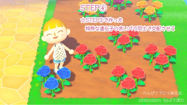 あつ森 青いバラの咲かせ方 のんびりアロマ島生活 タイムトラベラー編