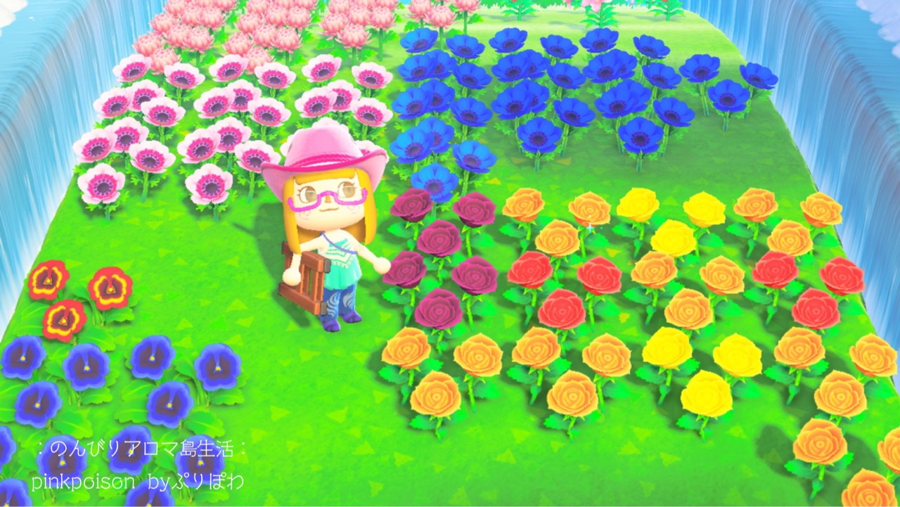 あつ森 金のバラとちょっと高難度ミドリのキク のんびりアロマ島生活 タイムトラベラー編 あつ森 金のバラとちょっと高難度ミドリのキク のんびりアロマ島生活 タイムトラベラー編