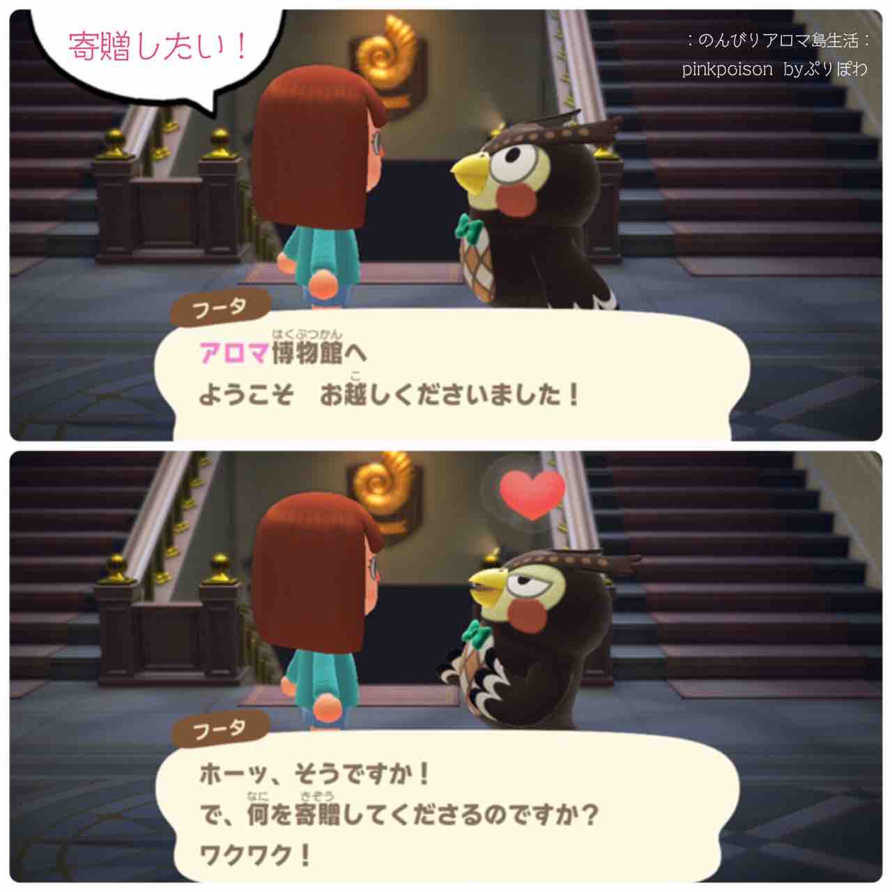 あつ森 タランチュラを捕まえた のんびりアロマ島生活 タイムトラベラー編 あつ森 タランチュラを捕まえた のんびりアロマ島生活 タイムトラベラー編