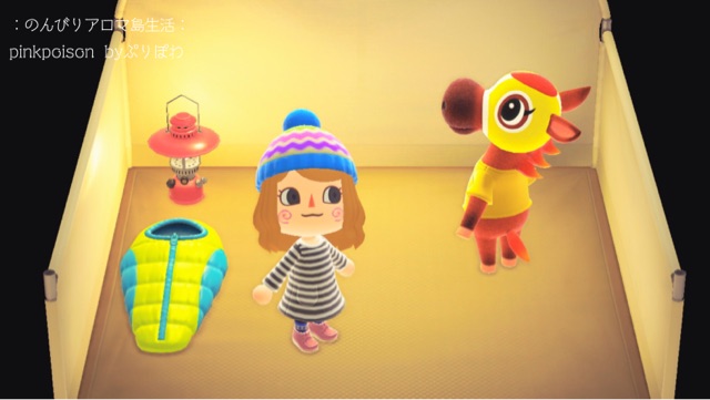 あつ森 フランソワとパッチとベーグルが移住 のんびりアロマ島生活 タイムトラベラー編