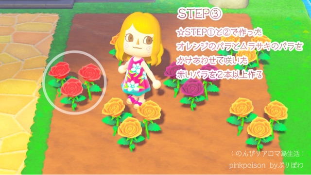 あつ森 青いバラの咲かせ方 のんびりアロマ島生活 タイムトラベラー編