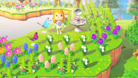 すずらん 場所 森 あつ 咲く