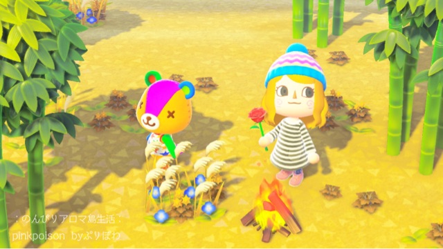 あつ森 フランソワとパッチとベーグルが移住 のんびりアロマ島生活 タイムトラベラー編 あつ森 フランソワとパッチとベーグルが移住 のんびりアロマ島生活 タイムトラベラー編