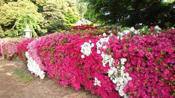 2013050106360000