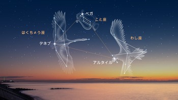 星