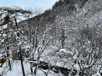 IMG_1461