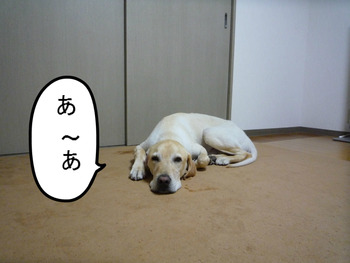 BlogPaint