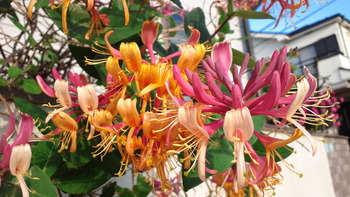 2014051606030001
