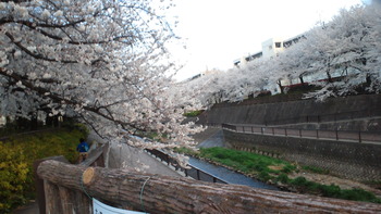 2014040117560000