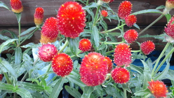 2012090214450001