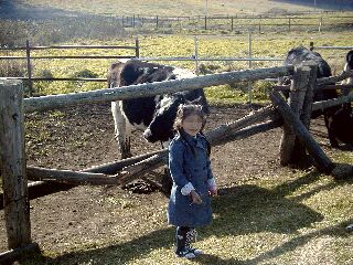 tateshinabokujyou_ka_1