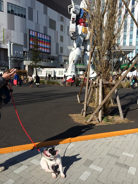 ガンダム 015