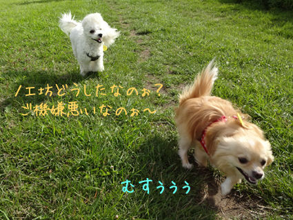 DSC01305