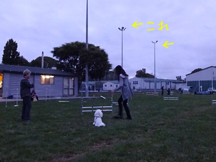 DSC01620