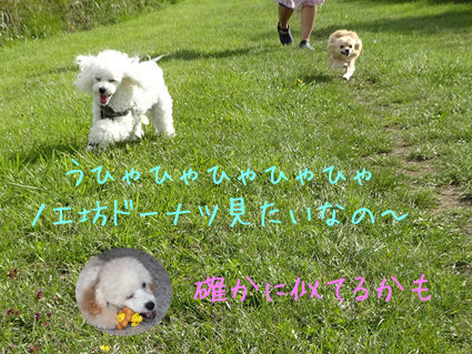 DSC01304