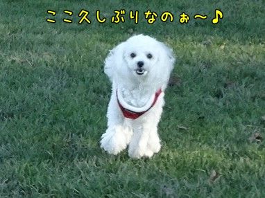DSC02959 (2)
