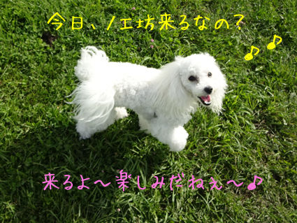 DSC01302