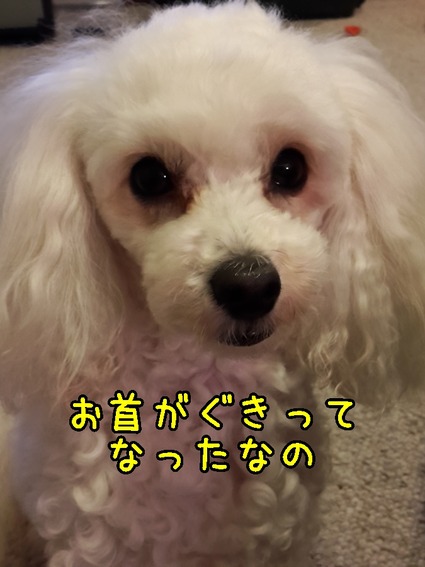 20180712_194012 (2)