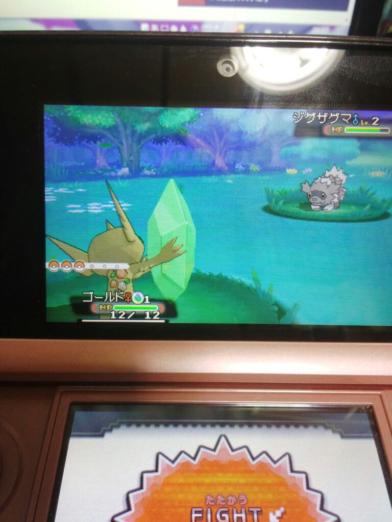 ヤミラミ 国際孵化 サーチ ポケモンと生きる