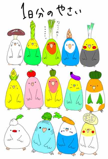 インコキャラについて ピノと自由きままな飼育係
