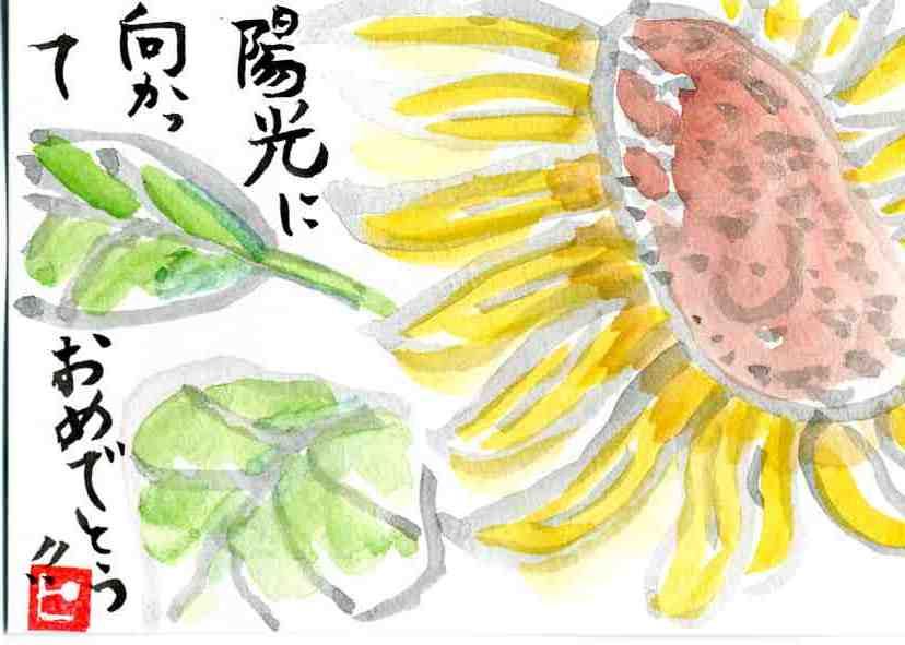 実物資料集８２ 教え子からのハガキには絵手紙を描きます 柴田克美教育大全集