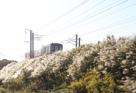 電車とススキ