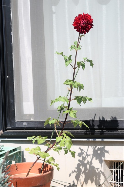 10月8日