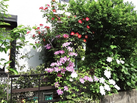 20120521