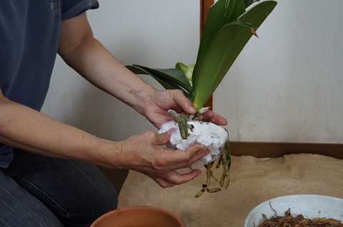 発泡スチロール