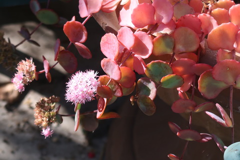 10月29日