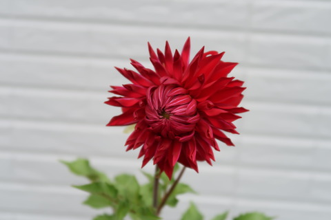 10月7日