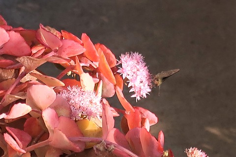10月29日