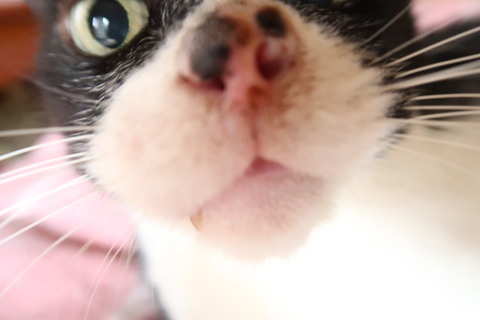 そら3