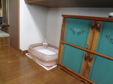 トイレの置き場所