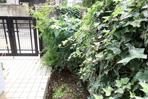 郵便受けの周り