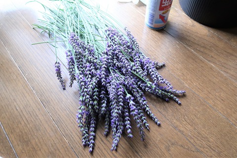 ラベンダー切り花