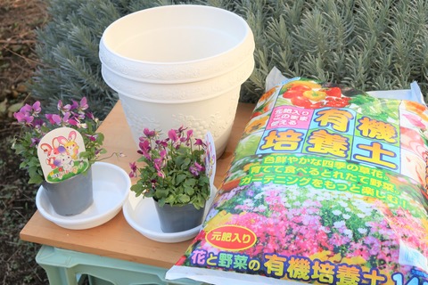 鉢植え材料