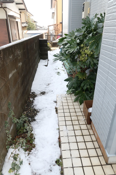 20220323北側の雪