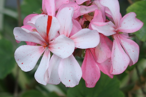 10月29日