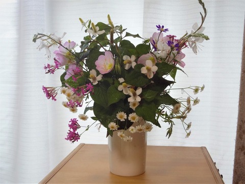20180610月見草とドクダミ