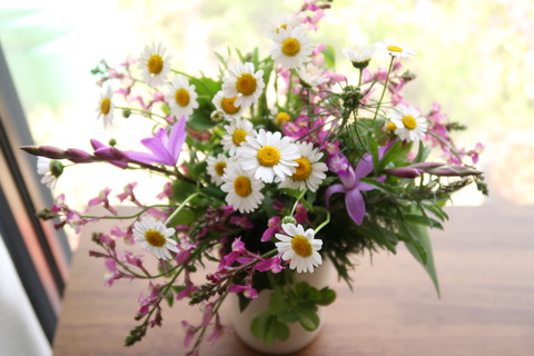 20210501春の花
