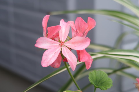 10月29日
