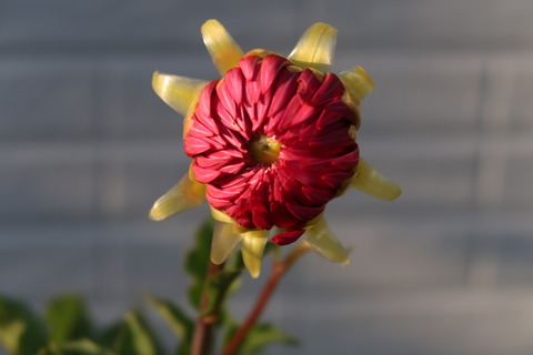 10月5日