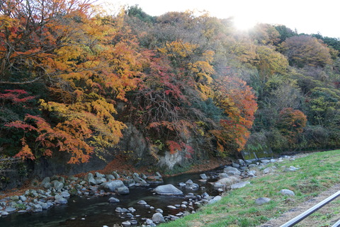 DSC03258_Color