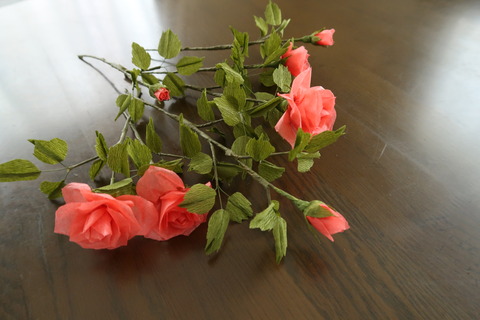 赤ちり紙バラ全体の様子花側